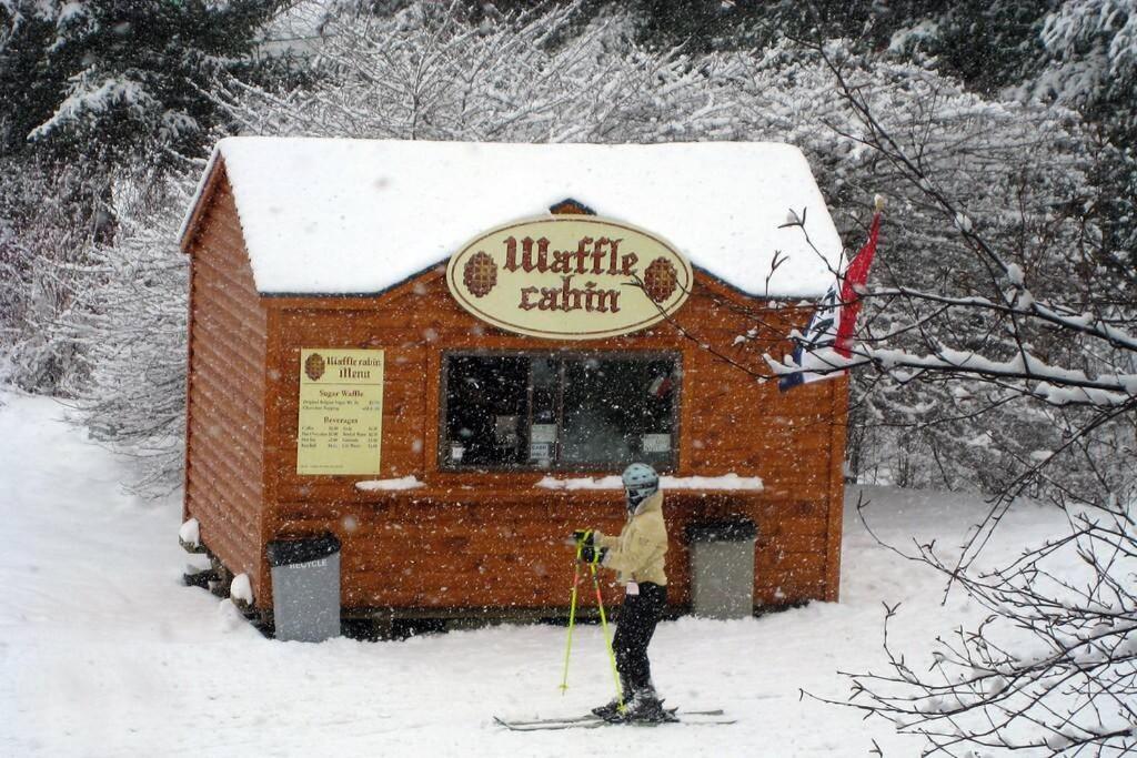 Skiing, Hiking, Village Of Eville Mtn Escape Ellicottville Bagian luar foto